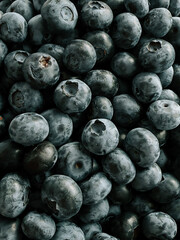 Fresh blueberries piled together in natural arrangement from local market harvest