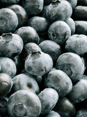 Fresh blueberries gathered in a basket at a summer farm during morning hours