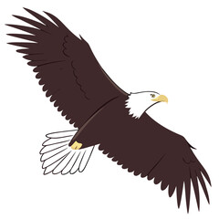 Obraz premium Brown Eagle in Flight White Background Yellow Beak 1