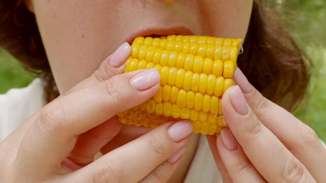 Woman eating yellow boiled corn cob close up during summer picnic outdoors