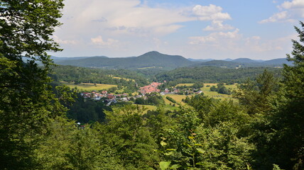 Pf&auml;lzer Wald_046