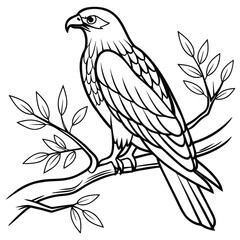 Obraz premium Line Art Eagle Perched on Branch Coloring Page White Background