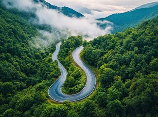 Beautiful, winding asphalt road in the green forest with mountains and clouds in the background, northern Italy. A scenic highway for car travel through the natural landscape of the Alps. Restaurant C