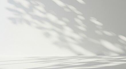 Abstract minimal empty black and white 3d room background. Modern Studio showcase with copy space. Mock up scene with natural plants, tree shadows, dappled light overlay effect. Front view, copy space