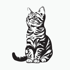 vector illustration of a cat