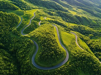 Beautiful, winding asphalt road in the mountains, with a green forest and meadow in the background. Summertime. Beautiful natural landscape of northern Italy. Panorama. Stock photo contest winner, pho