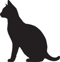 black cat vector illustration