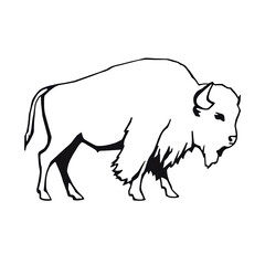 Obraz premium A bold black and white line drawing of a powerful bison, symbolizing the wild spirit of the american plains isolated on transparent background