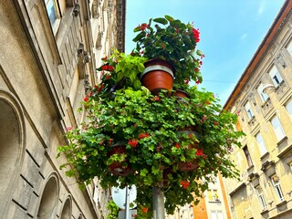 Obraz premium Budapest street scene with flowers.