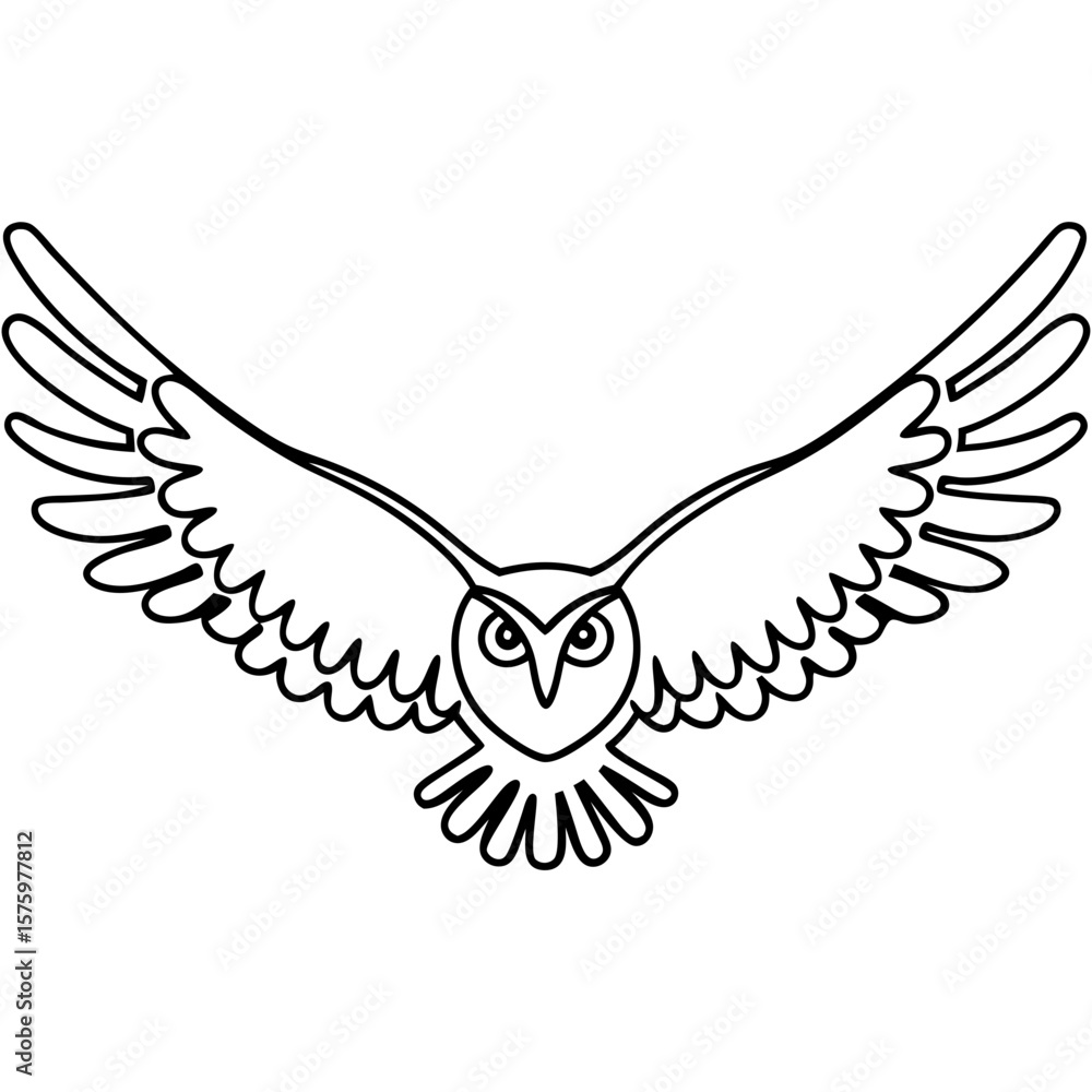 Poster owl with open wings in detailed line art illustration. line drawing owl with open wings is presented