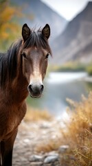 Obraz premium Wild horse stands by a serene river in a mountainous landscape during autumn