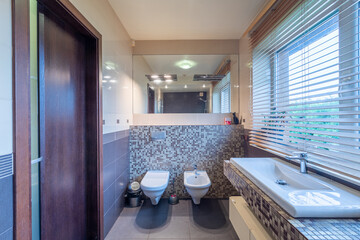 Modern Bathroom Interior with Mosaic Tiles and Large Mirror
