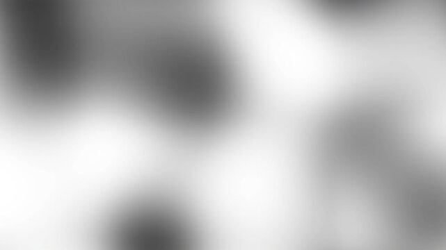 Gray and white animated mesh gradient background, soft gradient animation. Loop gray background