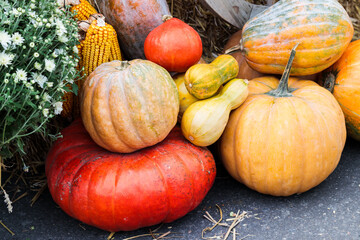 orange aesthetic food vegetable pumpkins on village market rustic rural environment