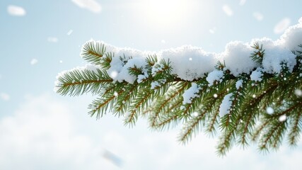 Winter Landscape: Blue Sky and Snowy Fir Tree