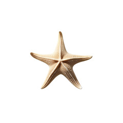 Single Beige Starfish on Transparent Background
