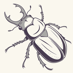 stag beetle vector illustration