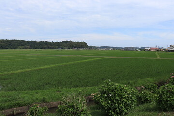 ふれあい広場（道の駅 やちよ）