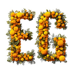 Floral number sixty-three design with oranges and green leaves on a black backdrop