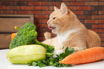 Cat and different vegetables on white table indoors. Pet's balanced diet