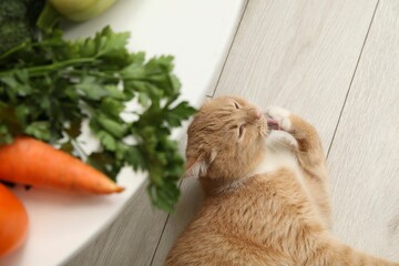 Different vegetables on table and cute cat indoors, top view. Pet's balanced diet