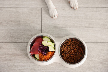 Dog and bowls with fresh natural products and dry pet food on floor, top view