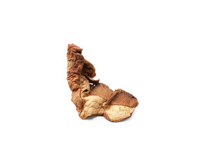 Piece of dried porcini mushroom isolated on white