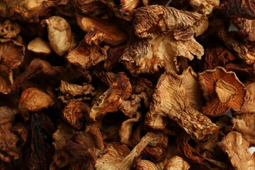 Many dried chanterelle mushrooms as background, closeup