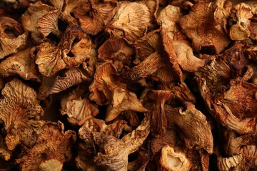 Many dried chanterelle mushrooms as background, closeup