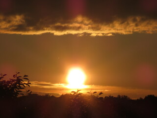 sunset among the trees