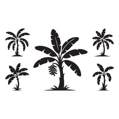 Obraz premium palm tree vector
