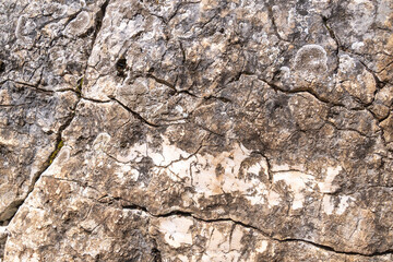 Rugged rock surface with natural cracks and textures