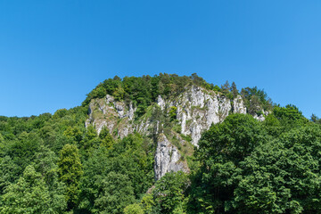 Majestic rocky cliff surrounded by lush green forest and clear blue sky