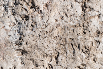 Close-up of natural rocky surface with unique textures and patterns