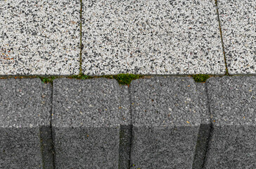 Close-up of paving stones, with green moss growing between the cracks