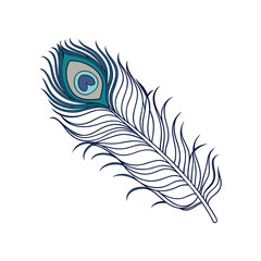 feather vector illustration
