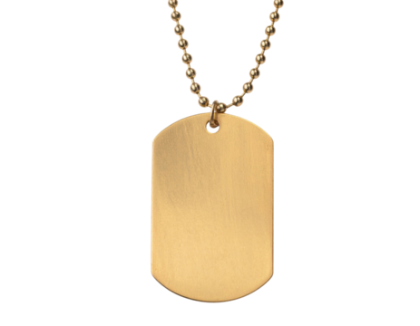 A shiny gold dog tag pendant hangs from a delicate ball chain necklace, showcasing a smooth, rounded rectangular surface.