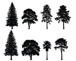 Fototapeta premium Tree Silhouettes Collection: A diverse set of eight distinct tree silhouettes, including evergreen, deciduous and palm trees, ideal for design projects needing nature-inspired graphics.