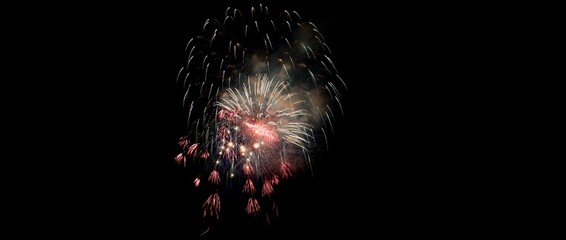 fireworks in the night sky
