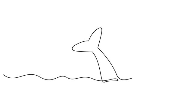 Animated self drawing of continuous one line draw wild whale fish swimming in sea life, Big fish mammal animal mascot concept for business logotype. Full length one line animation.
