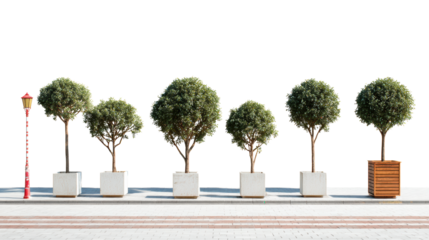 A row of decorative trees in pots along a street, creating a lush green ambiance.