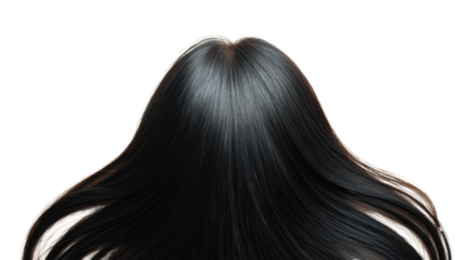 Long, sleek black hair flowing smoothly, isolated on a white background.