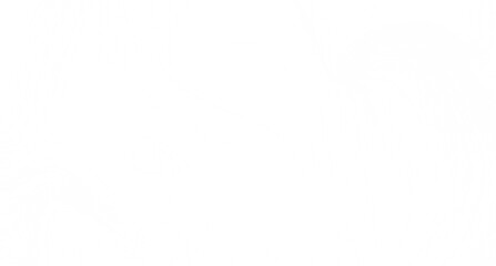 Clean, simple white background. Perfect for websites, presentations, and more.