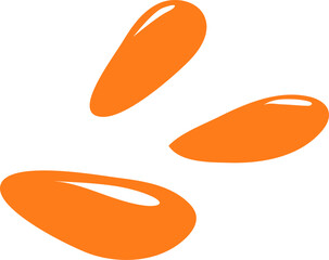 vector illustration of an orange carrot