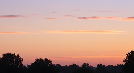 Obraz premium Pastelowe niebo: Świt nad linią drzew