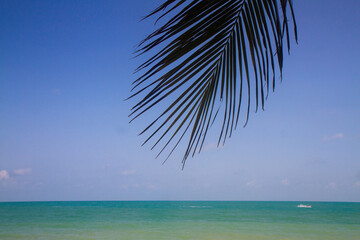 beautiful landscape of a sandy beach on the sea