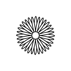 Obraz premium Line drawing, flower drawing, drawing, black and white, yellow, white