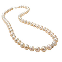 Elegant Pearl Necklace isolated on transparent background