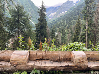 Carved bench in the shape of a natural log high in the mountains in a forest