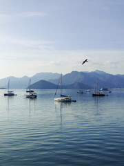 beautiful ships and boats are moored near the shore